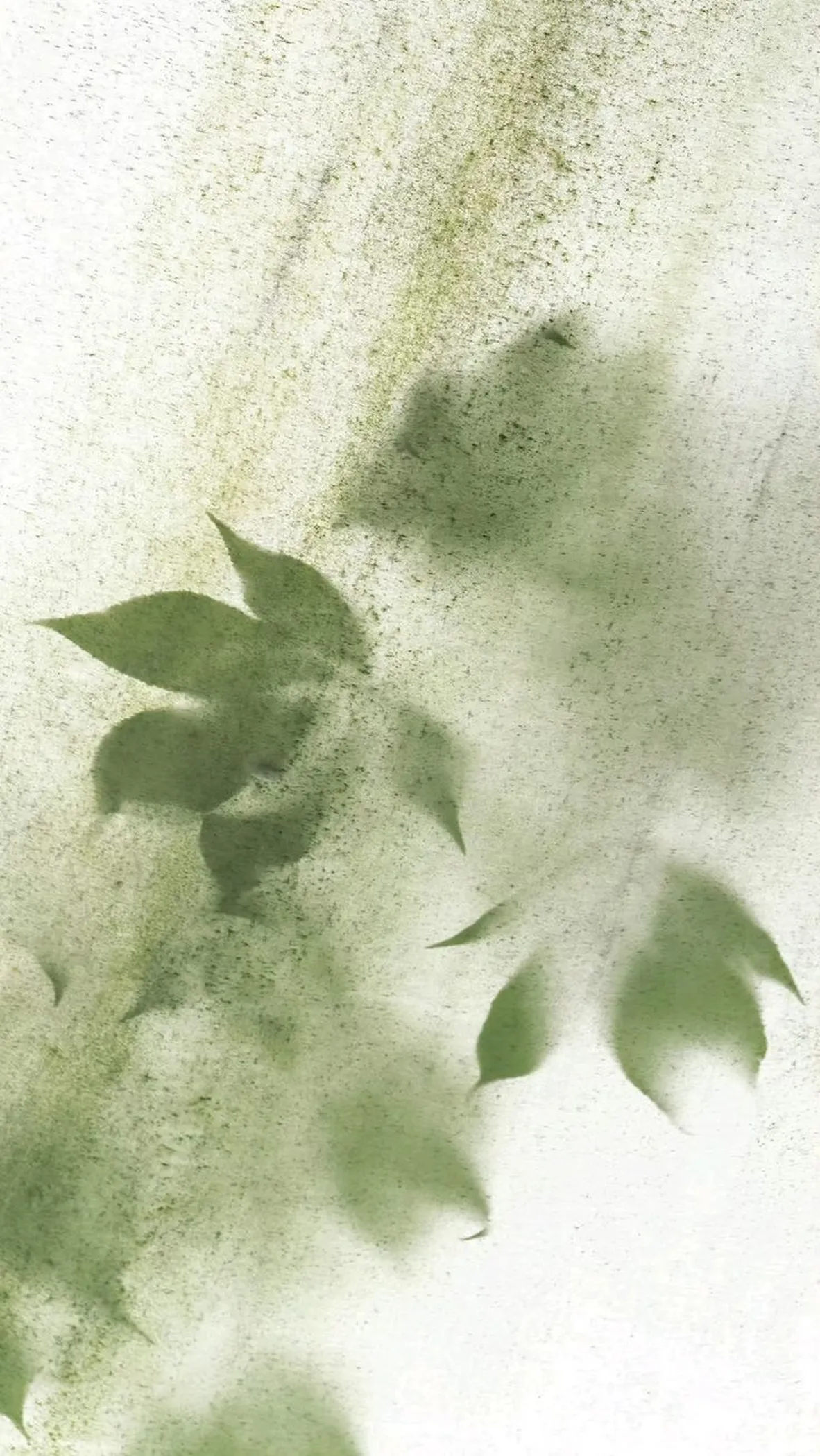 Menu Background